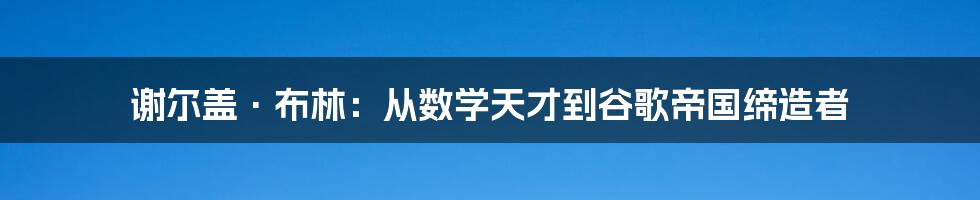 谢尔盖·布林:从数学天才到谷歌帝国缔造者