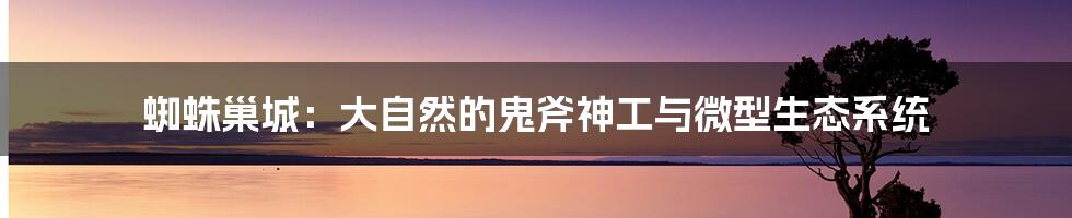 蜘蛛巢城:大自然的鬼斧神工与微型生态系统