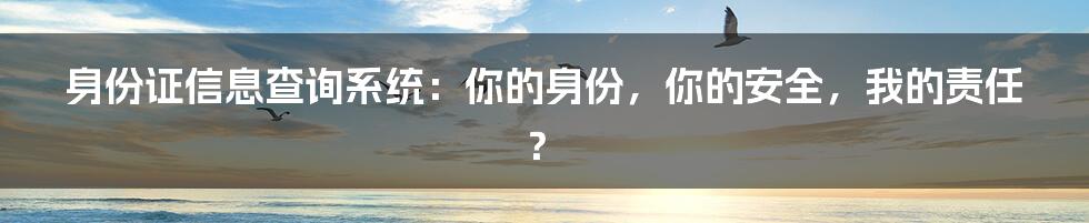 身份证信息查询系统：你的身份，你的安全，我的责任？