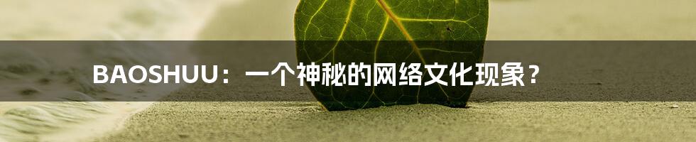 BAOSHUU：一个神秘的网络文化现象？