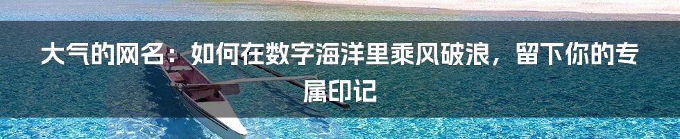 大气的网名:如何在数字海洋里乘风破浪,留下你的专属印记
