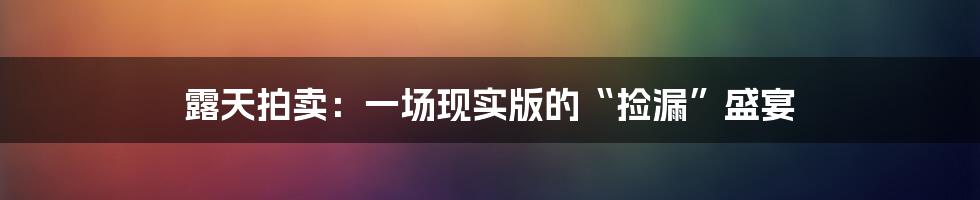 露天拍卖:一场现实版的“捡漏”盛宴
