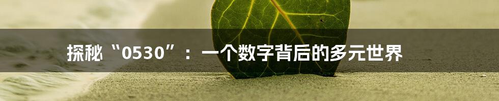 探秘“0530”：一个数字背后的多元世界