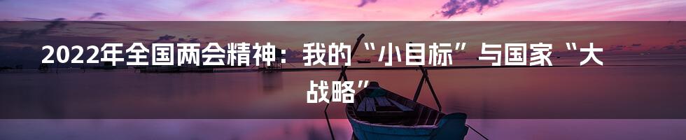 2022年全国两会精神：我的“小目标”与国家“大战略”