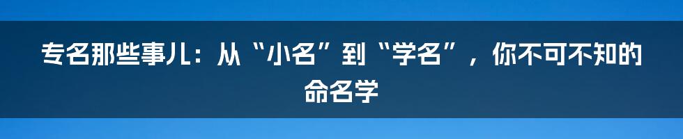 专名那些事儿:从“小名”到“学名”,你不可不知的命名学