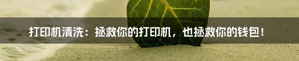 打印机清洗:拯救你的打印机,也拯救你的钱包!