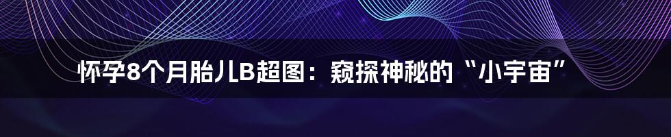 怀孕8个月胎儿B超图:窥探神秘的“小宇宙”