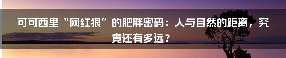 可可西里“网红狼”的肥胖密码:人与自然的距离,究竟还有多远?
