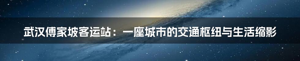 武汉傅家坡客运站：一座城市的交通枢纽与生活缩影