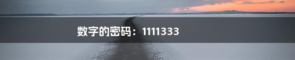 数字的密码:1111333