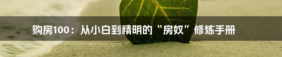 购房100:从小白到精明的“房奴”修炼手册