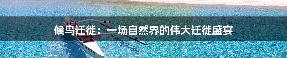 候鸟迁徙:一场自然界的伟大迁徙盛宴