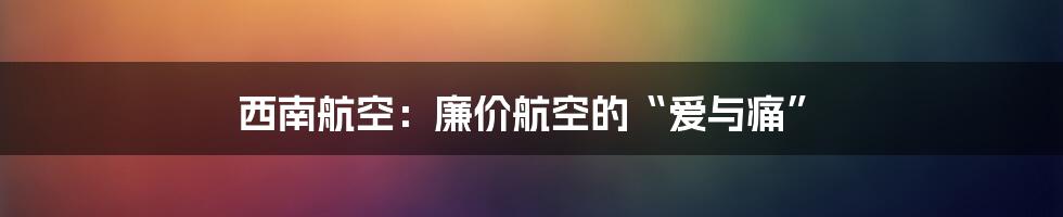 西南航空：廉价航空的“爱与痛”