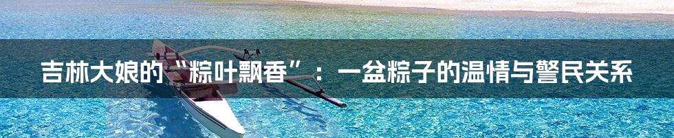 吉林大娘的“粽叶飘香”:一盆粽子的温情与警民关系