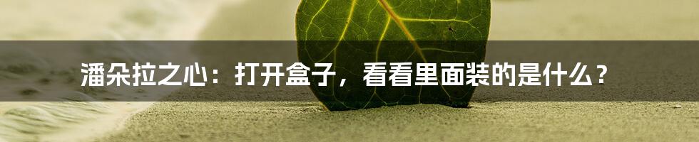 潘朵拉之心:打开盒子,看看里面装的是什么?