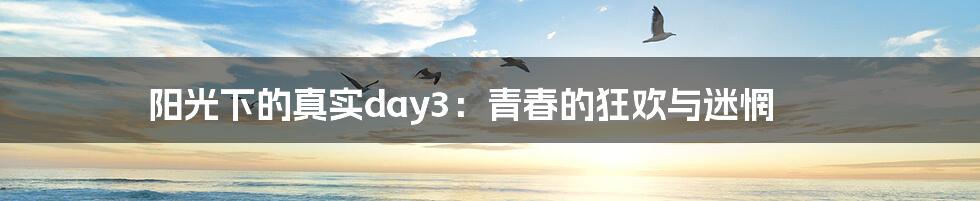 阳光下的真实day3:青春的狂欢与迷惘