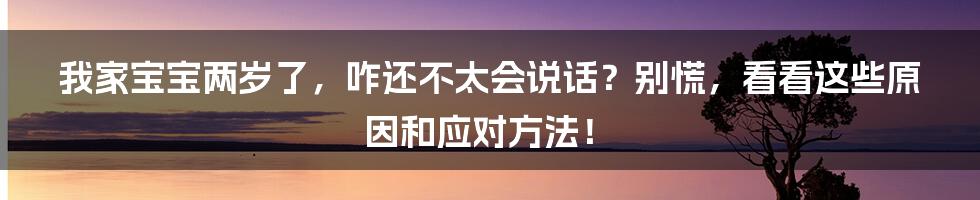 我家宝宝两岁了,咋还不太会说话?别慌,看看这些原因和应对方法!