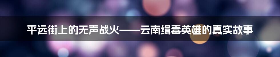 平远街上的无声战火——云南缉毒英雄的真实故事