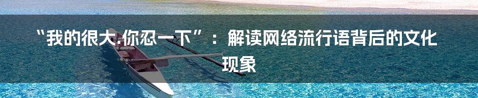“我的很大.你忍一下”:解读网络流行语背后的文化现象
