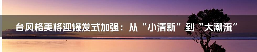 台风格美将迎爆发式加强:从“小清新”到“大潮流”