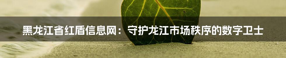 黑龙江省红盾信息网:守护龙江市场秩序的数字卫士