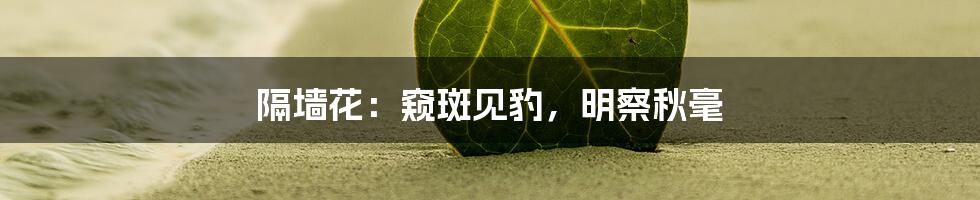 隔墙花:窥斑见豹,明察秋毫