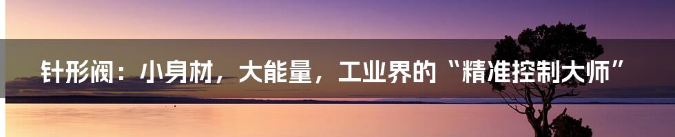 针形阀:小身材,大能量,工业界的“精准控制大师”