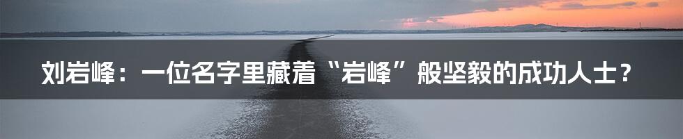 刘岩峰:一位名字里藏着“岩峰”般坚毅的成功人士?