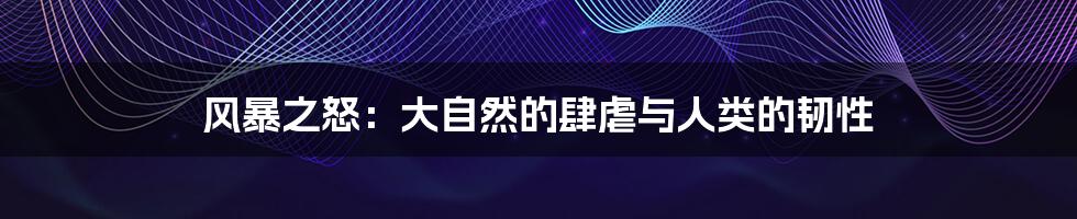 风暴之怒:大自然的肆虐与人类的韧性