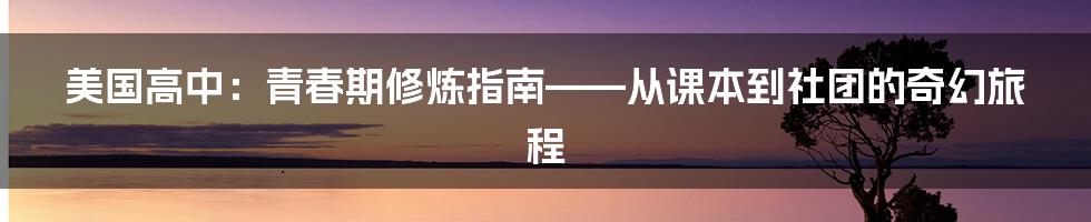 美国高中:青春期修炼指南——从课本到社团的奇幻旅程