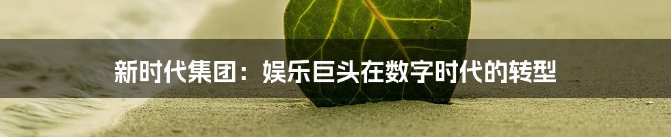 新时代集团:娱乐巨头在数字时代的转型