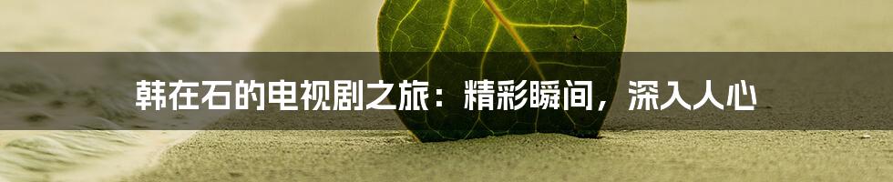 韩在石的电视剧之旅：精彩瞬间，深入人心
