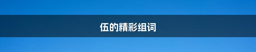 伍的精彩组词