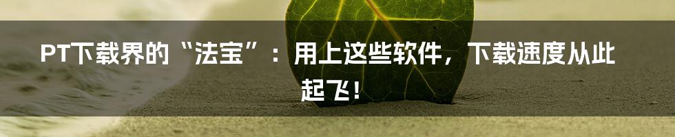 PT下载界的“法宝”:用上这些软件,下载速度从此起飞!