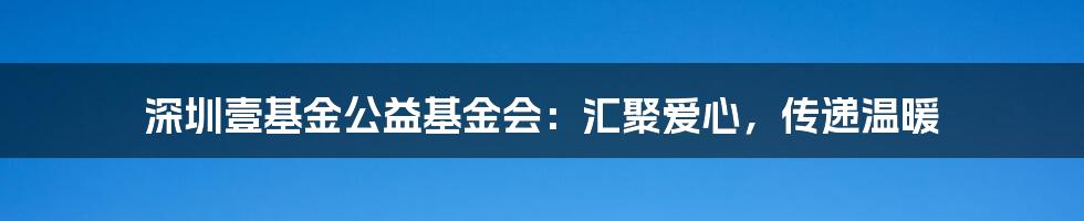 深圳壹基金公益基金会:汇聚爱心,传递温暖