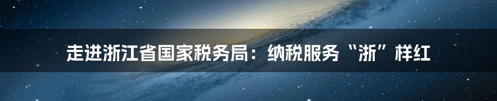 走进浙江省国家税务局：纳税服务“浙”样红
