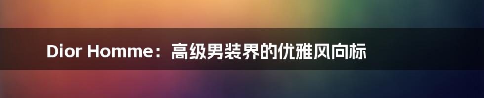 Dior Homme:高级男装界的优雅风向标