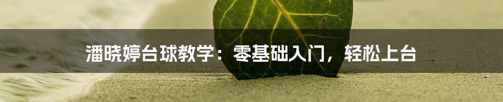 潘晓婷台球教学:零基础入门,轻松上台
