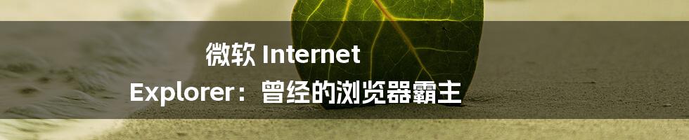 微软 Internet Explorer:曾经的浏览器霸主