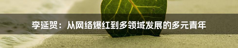 李延贺:从网络爆红到多领域发展的多元青年