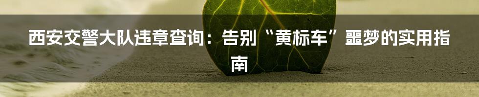 西安交警大队违章查询:告别“黄标车”噩梦的实用指南