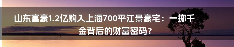 山东富豪1.2亿购入上海700平江景豪宅:一掷千金背后的财富密码?