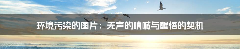 环境污染的图片:无声的呐喊与醒悟的契机