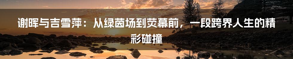 谢晖与吉雪萍:从绿茵场到荧幕前,一段跨界人生的精彩碰撞