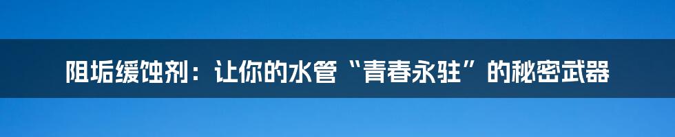 阻垢缓蚀剂:让你的水管“青春永驻”的秘密武器