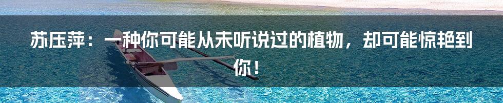 苏压萍:一种你可能从未听说过的植物,却可能惊艳到你!