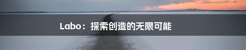 Labo:探索创造的无限可能