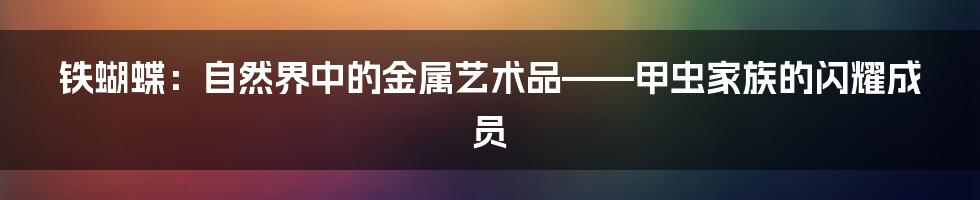 铁蝴蝶:自然界中的金属艺术品——甲虫家族的闪耀成员