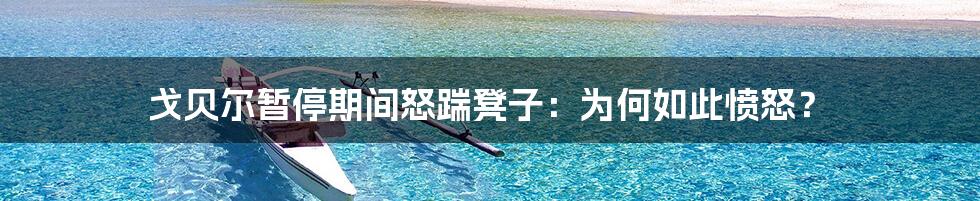 戈贝尔暂停期间怒踹凳子：为何如此愤怒？