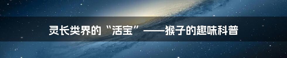 灵长类界的“活宝”——猴子的趣味科普